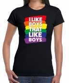 Gay pride i like boys that like boys t-shirt zwart dames
